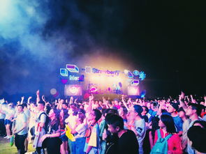 成都草莓音乐节郭顶唱了哪些歌？