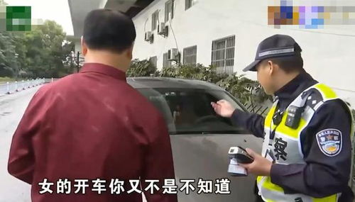 男司机为追女交警多次违章,男司机高速逆行