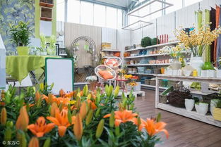 想开花店去哪里培训？