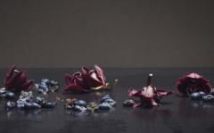 戾气是什么意思身上戾气重怎么化解,戾气太重是什么意思