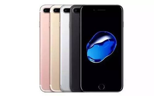 se第四声 开头的词语有什么