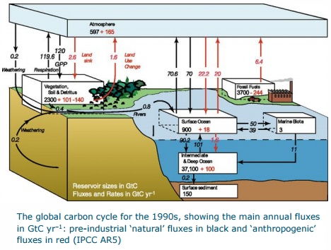 温室气体包括什么？