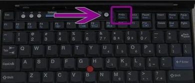 电脑截屏的快捷键是什么？