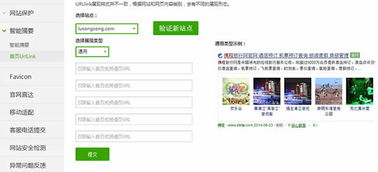 360站长做适配需要添加二级域名吗？