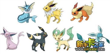 口袋妖怪钻石伊布