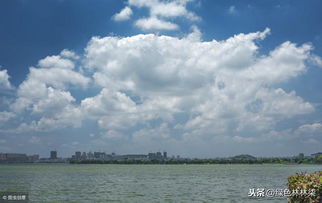 我国面积最大的湖泊是（　　）A．鄱阳湖B．洞庭湖C