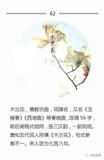 有什么好听的词牌名？