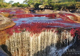 塔姆刚开始叫什么 叫河流之主还是河流之王？