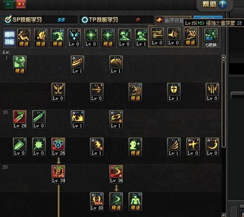 阿修罗如何加点，要详细点的