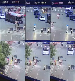 中国天网是什么？