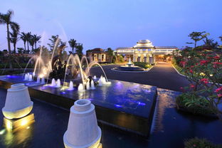 海南中远博鳌有限公司的公司建设