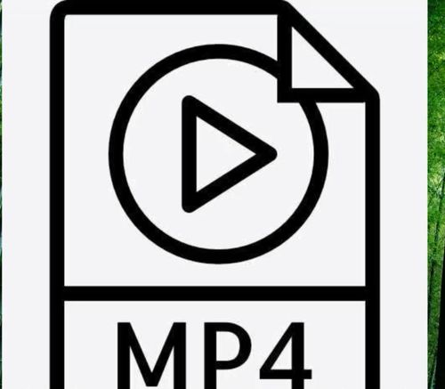 如何将视频转为mp4格式,常见的视频文件格式有哪些