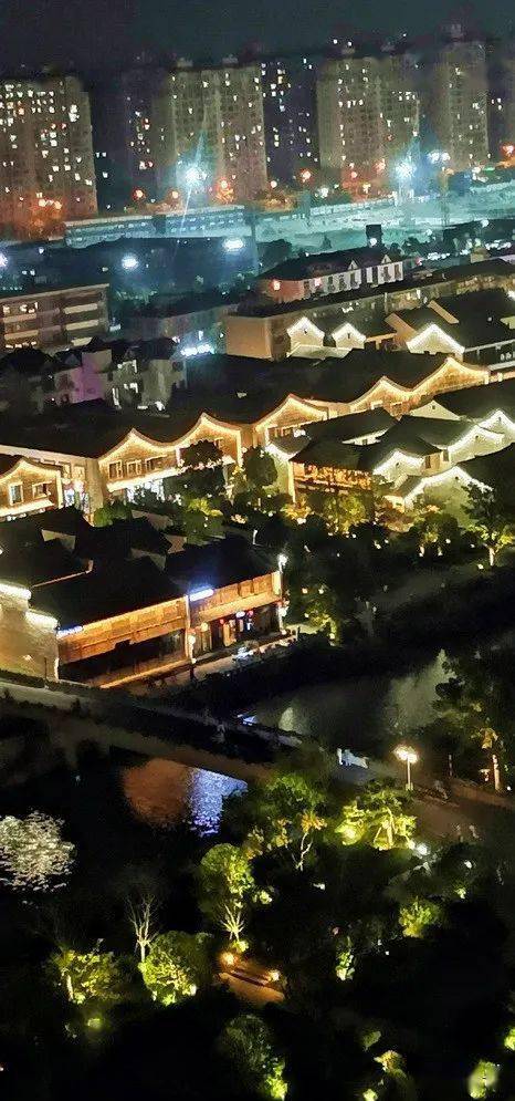 纵观是什么意思