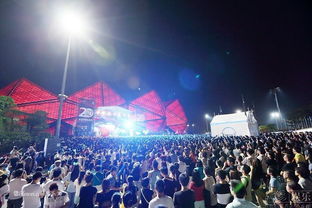 迷笛音乐节的介绍