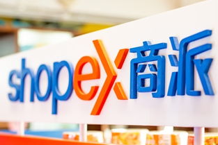 商派网是什么公司?