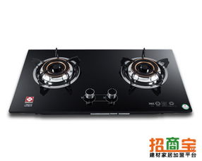 中国十大名牌燃气灶