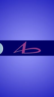 inter是干什么的