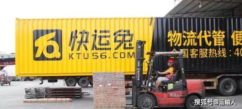 快兔物流怎么查单号？