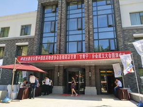 百通世纪是怎样的？