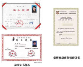 哪些大学可以自考研究生，哪些大学可以自考汉语言文学