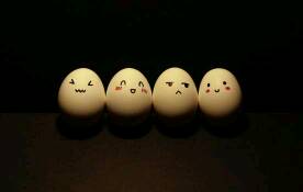 这不是什么而是什么造句六年级