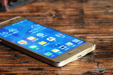 长的帅老的快长的丑活的久是什么歌，长的丑活的久是什么歌名