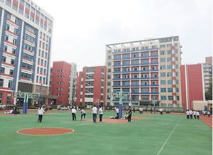 精英学校你觉得怎么样