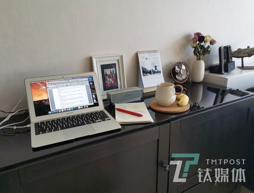 在家办公的工作有哪些?