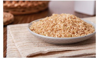 糙米是什么米,糙米是什么米哪里有卖