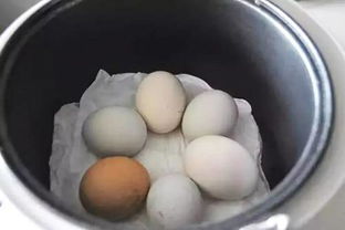 鸡蛋要煮多久能熟，鸡蛋要煮多久才好剥壳
