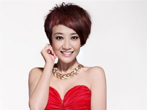 左岩的个人资料