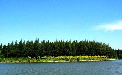 上海崇明岛都有什么好玩的?