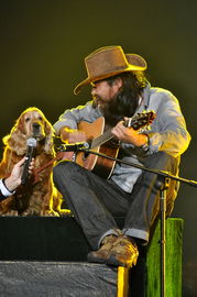 草根文化的意思,草根文化阅读理解