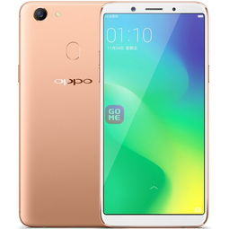 oppoa79参数？