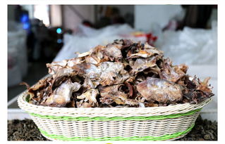 冬笋探测仪厂家价格