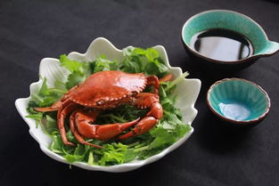 清蒸螃蟹的做法和步骤视频