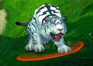 MOP猎人稀有宠物大全