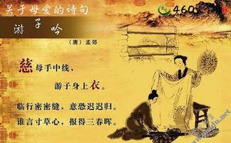 关于母爱的现代诗歌自创