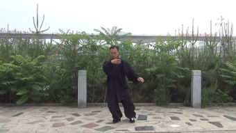 shup 是什么意识？