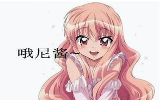 欧尼酱，欧尼森么是什么意思？