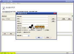 网络同步专家是干什么用的?