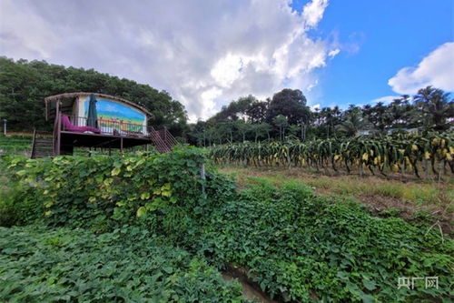 保亭网站建设,保亭政府网