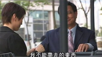 法网情天电视剧全集在线观看