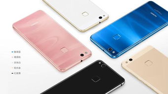 华为nova和nova青春版的区别