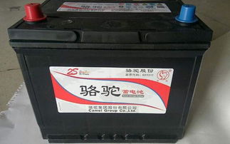 汽车电瓶十大品牌排行榜，电动汽车电瓶什么牌子好