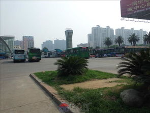 南昌地宝网是怎么做成功的?