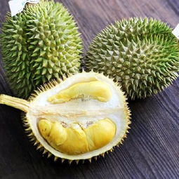 榴莲种类哪种好吃