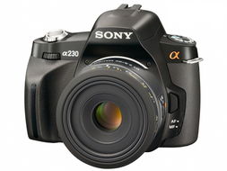 入门级单反相机推荐,新手入门单反相机推荐