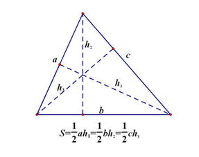 锐角三角形怎么画
