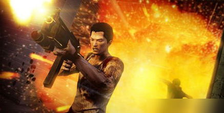 热血无赖在哪里下载啊，谢谢